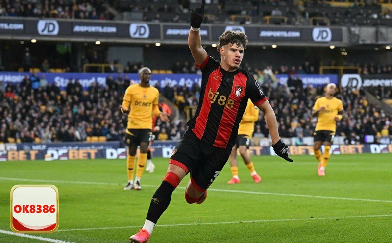 CMD368 - Nguồn gốc và giấy phép hoạt động